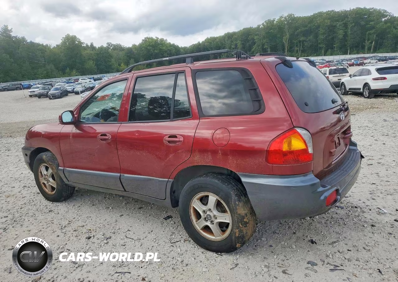 2004 Hyundai Santa Fe Gls VIN:KM8SC13E04U745306 - 2