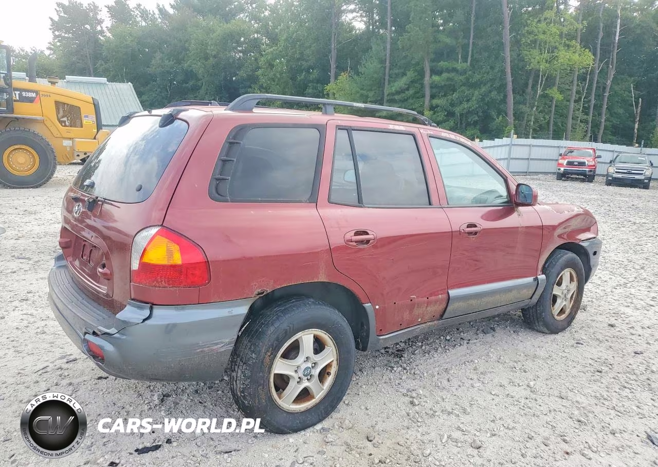 2004 Hyundai Santa Fe Gls VIN:KM8SC13E04U745306 - 3