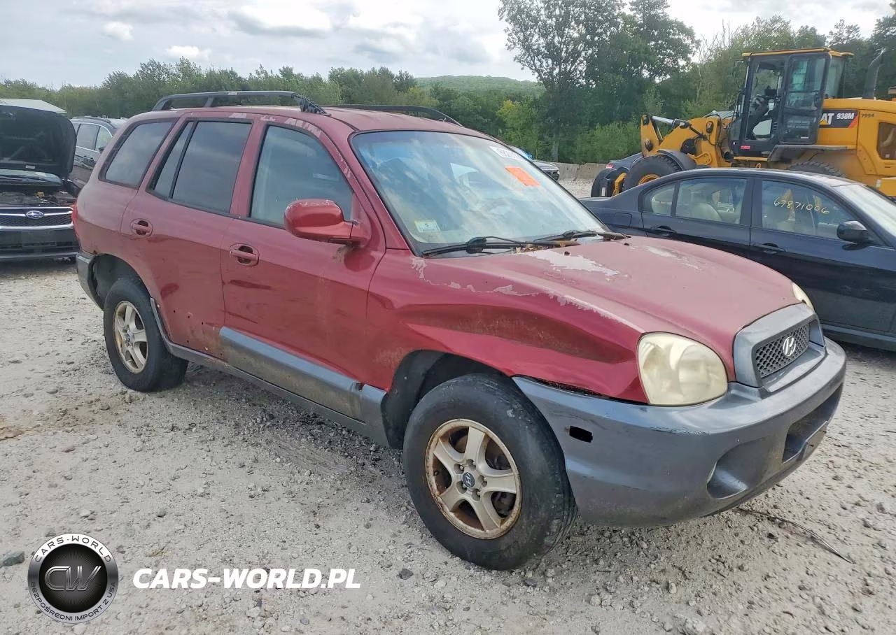 2004 Hyundai Santa Fe Gls VIN:KM8SC13E04U745306 - 4