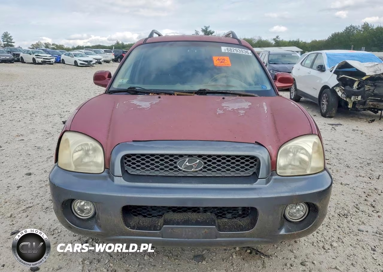 2004 Hyundai Santa Fe Gls VIN:KM8SC13E04U745306 - 5