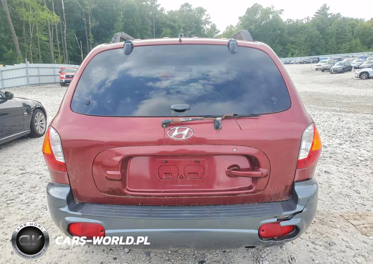 2004 Hyundai Santa Fe Gls VIN:KM8SC13E04U745306 - 6