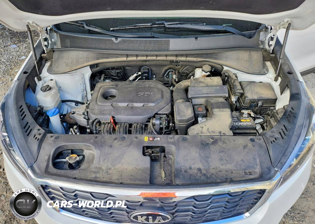 2019 Kia Sorento Lx VIN:5XYPG4A36KG499524 - 12