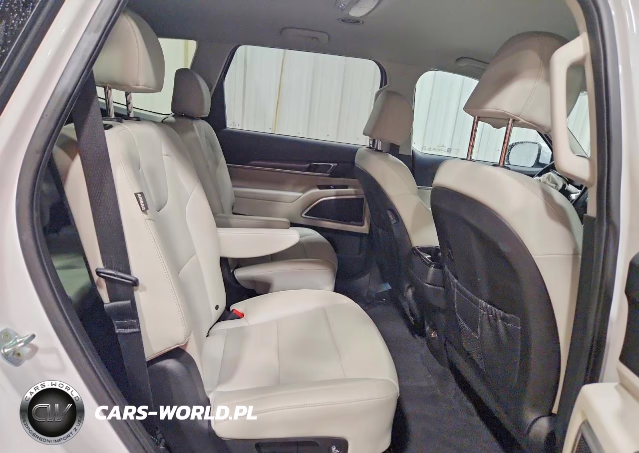 2023 Kia Telluride S VIN:5XYP6DGC9PG358237 - 10