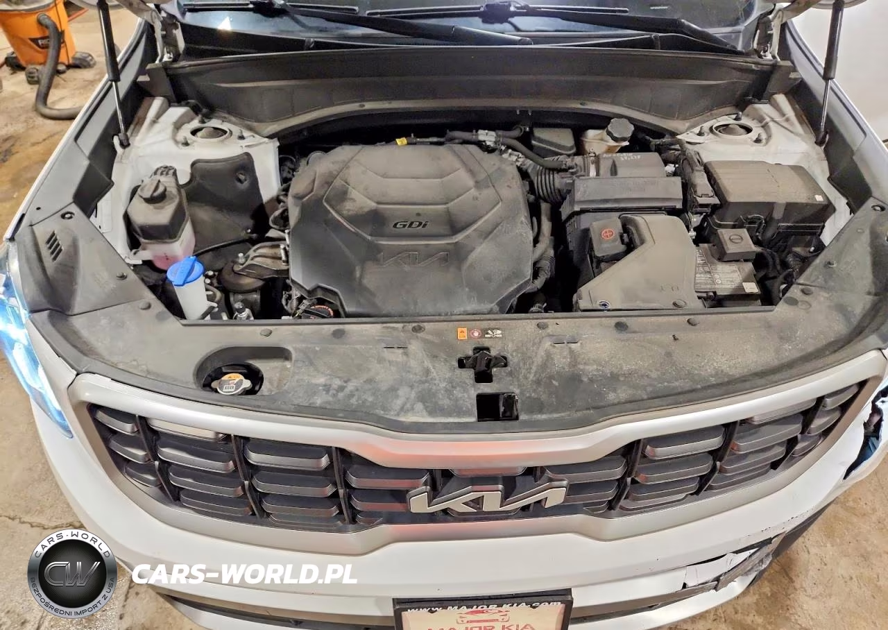 2023 Kia Telluride S VIN:5XYP6DGC9PG358237 - 11