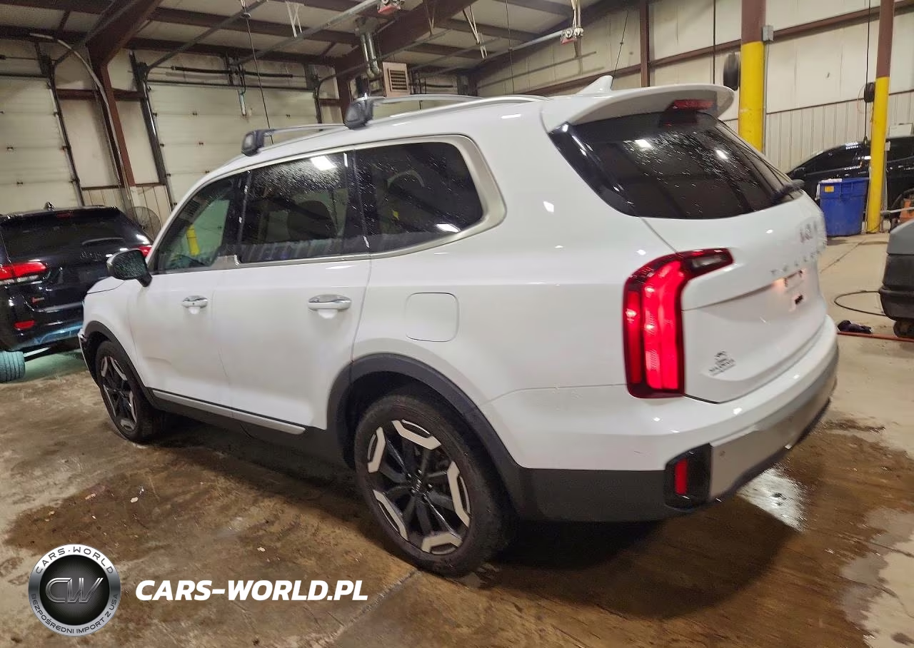 2023 Kia Telluride S VIN:5XYP6DGC9PG358237 - 2