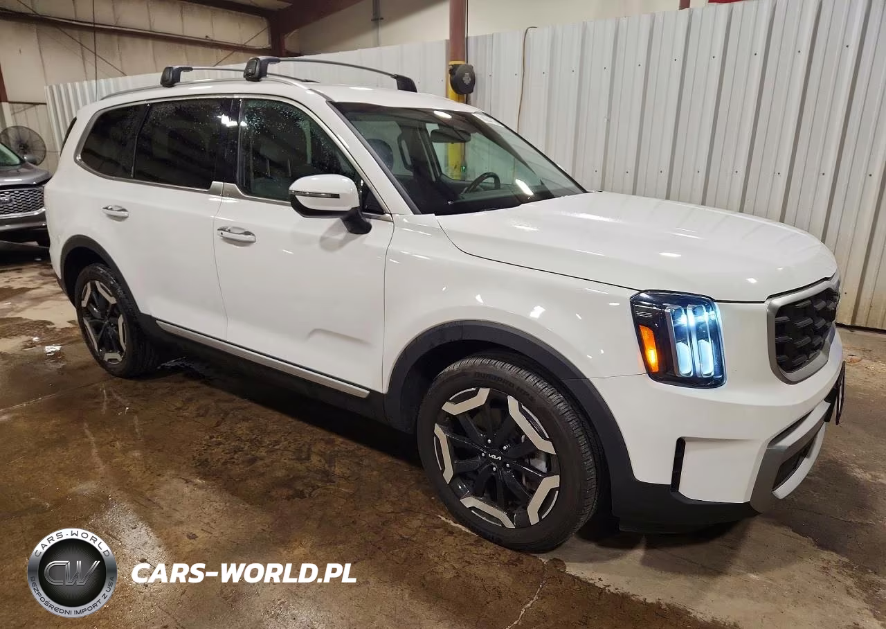2023 Kia Telluride S VIN:5XYP6DGC9PG358237 - 4