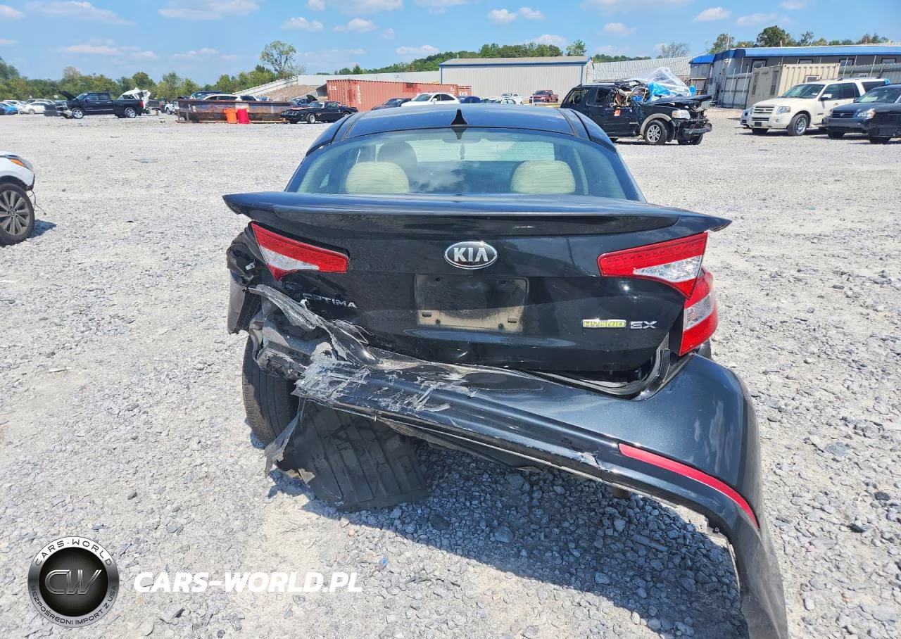 2013 Kia Optima Hybrid VIN:KNAGM4AD8D5059542 - 6
