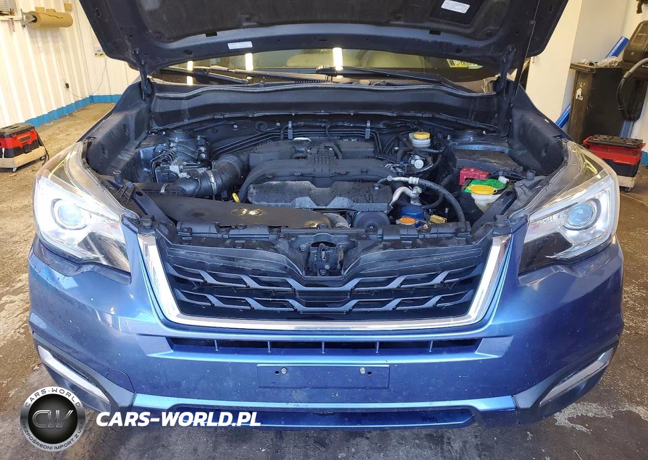 2017 Subaru Forester 2.5I Limited VIN:JF2SJARC1HH540268 - 12