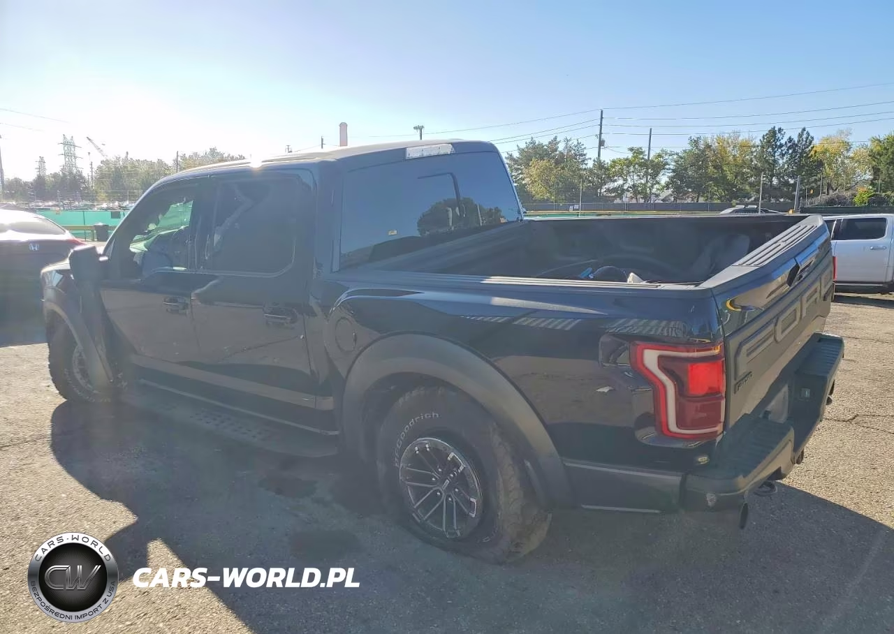 2020 Ford F150 Raptor VIN:1FTFW1RG6LFC42100 - 2