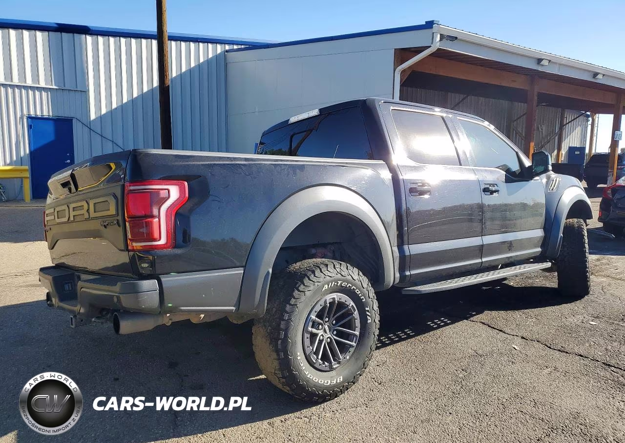 2020 Ford F150 Raptor VIN:1FTFW1RG6LFC42100 - 3