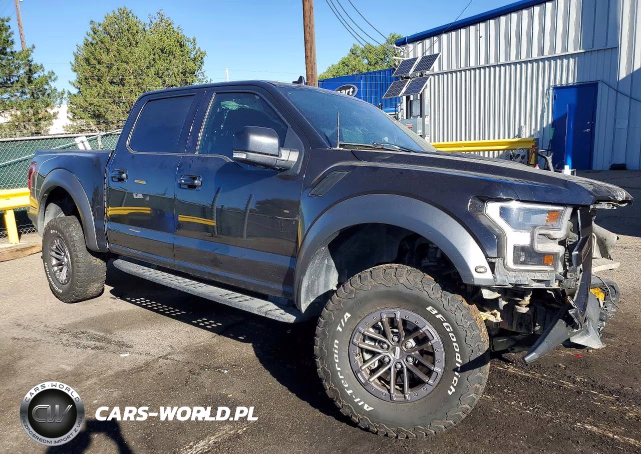 2020 Ford F150 Raptor VIN:1FTFW1RG6LFC42100 - 4