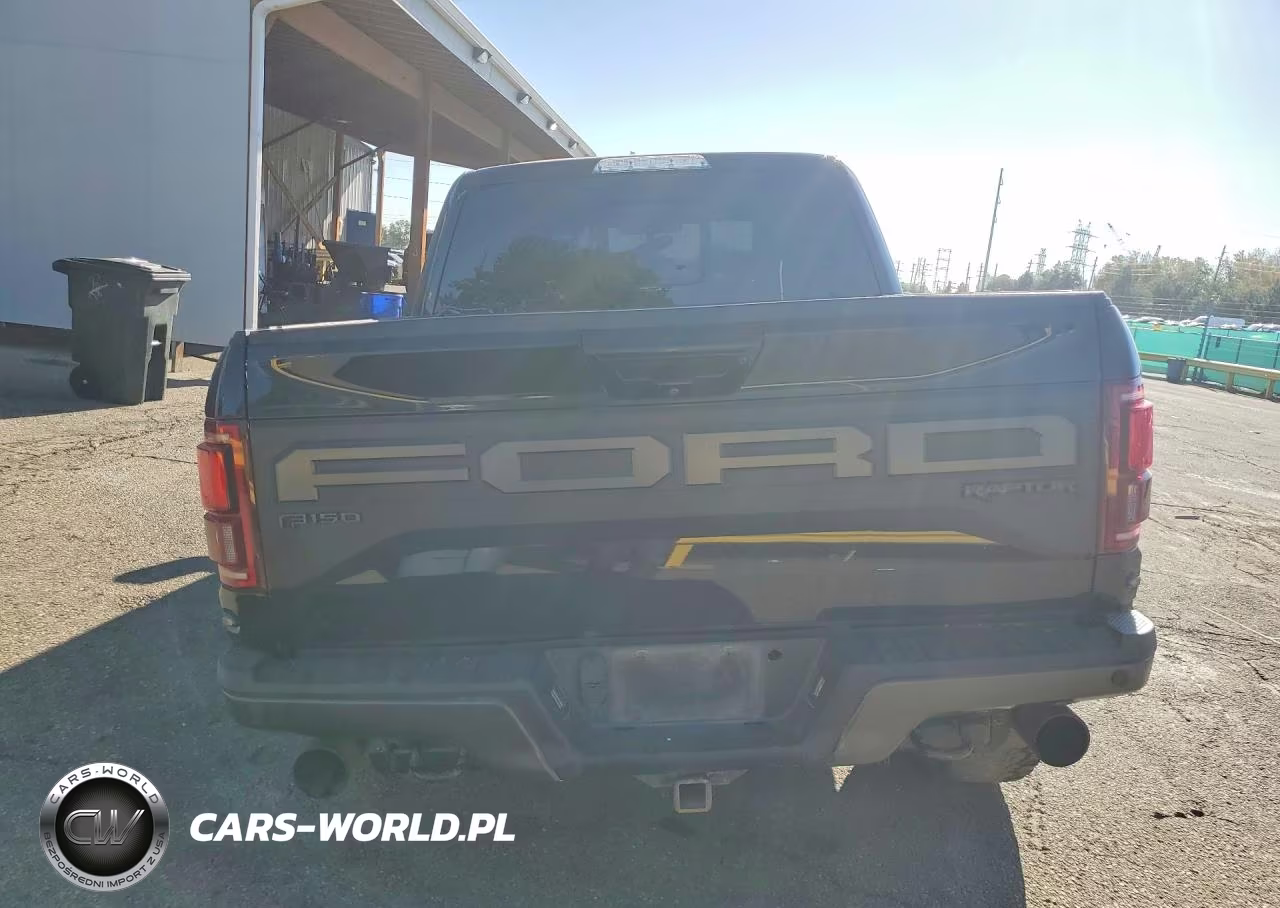 2020 Ford F150 Raptor VIN:1FTFW1RG6LFC42100 - 6