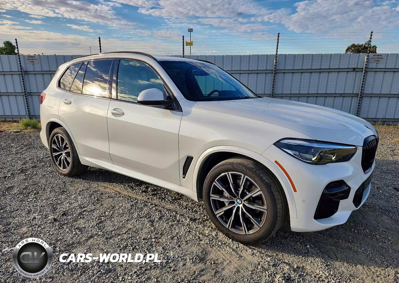 2022 BMW X5 xDrive40I VIN:5UXCR6C0XN9L56314 - 4