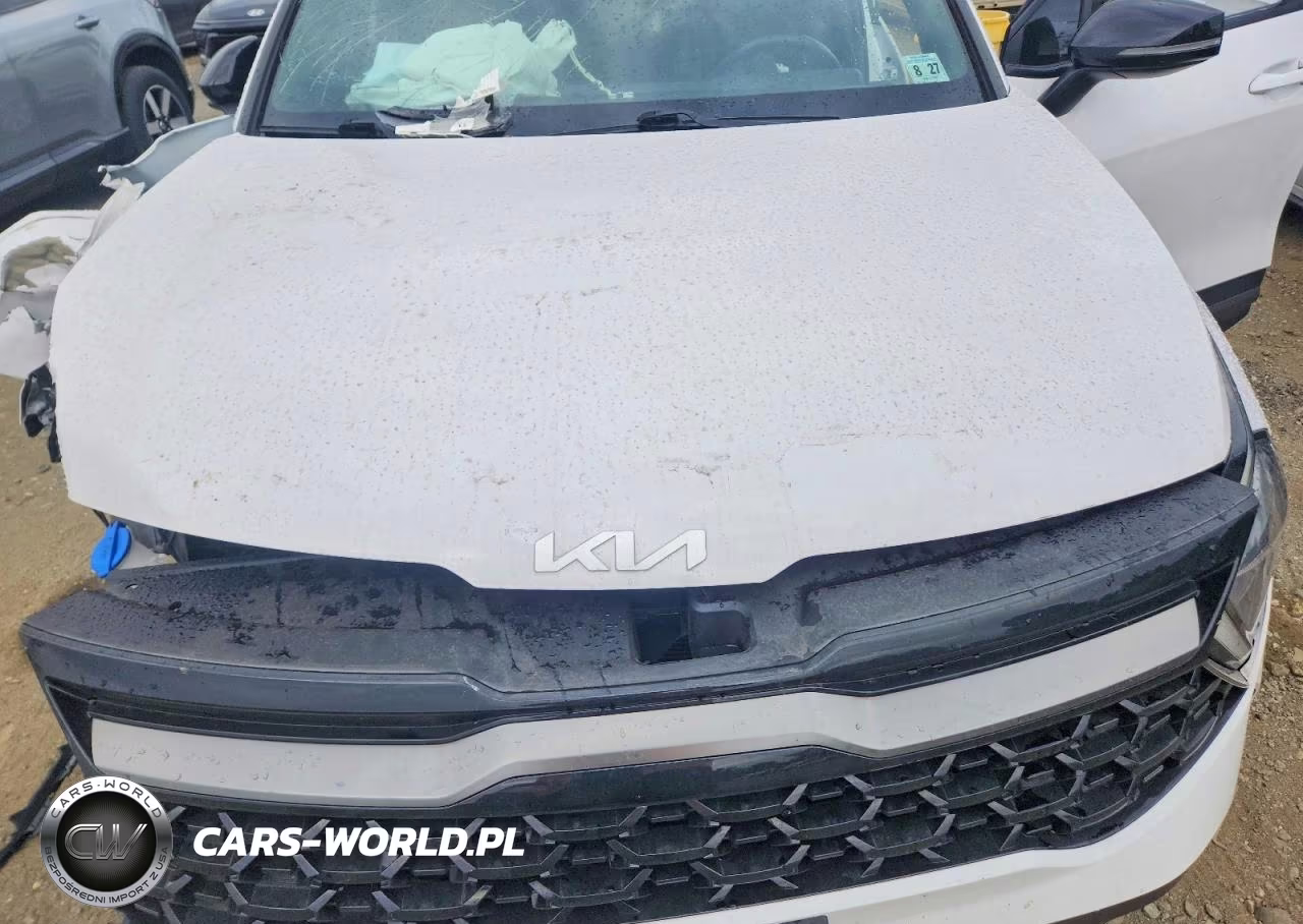 2023 Kia Sportage X Line VIN:5XYK6CAF2PG046199 - 12