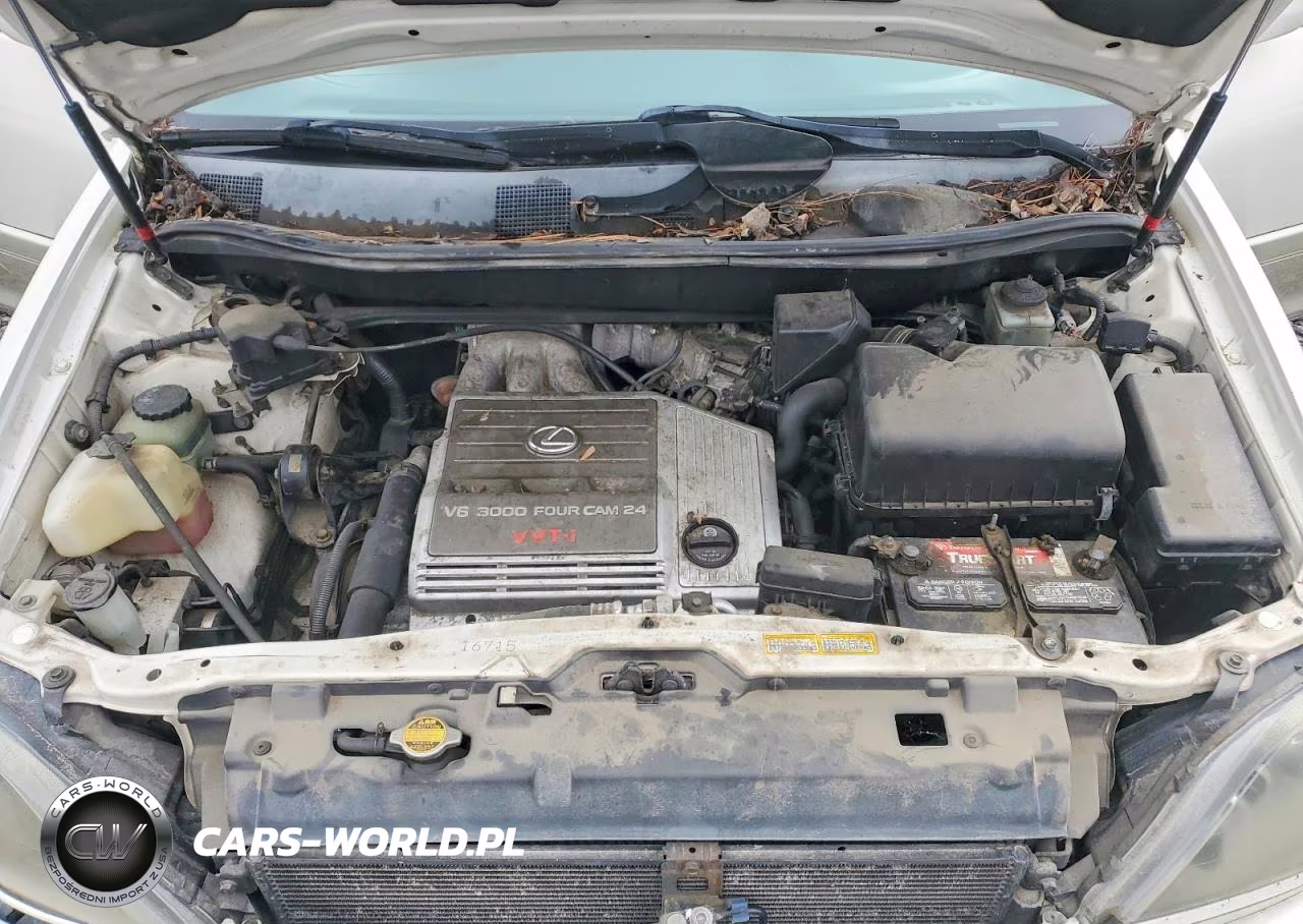 1999 Lexus Rx 300 VIN:JT6HF10U5X0081072 - 12