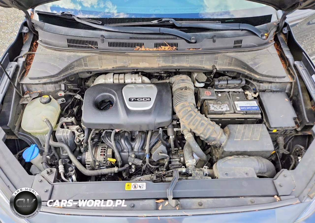 2018 Hyundai Kona Ultimate VIN:KM8K5CA54JU117334 - 12