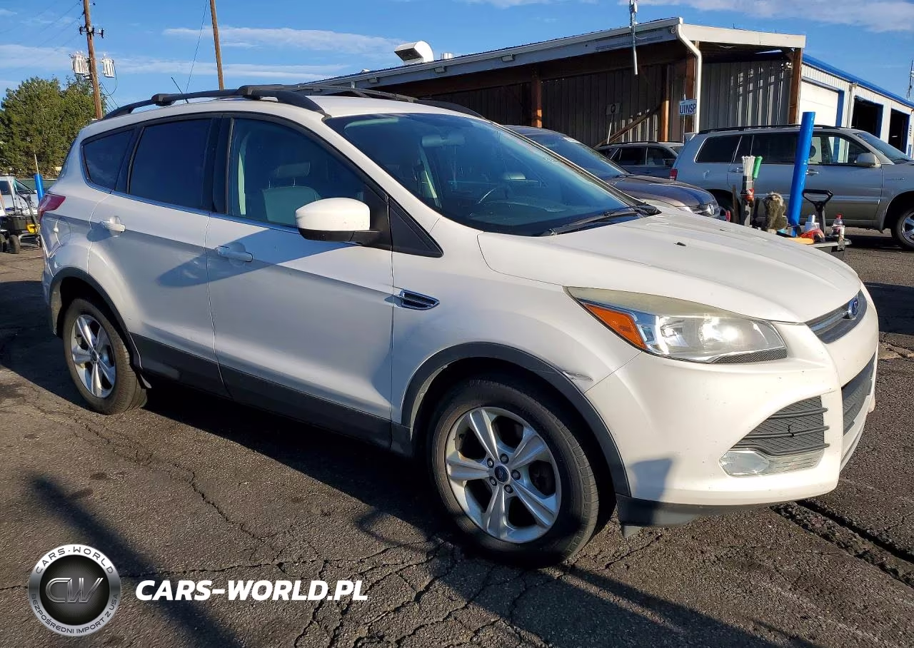 2014 Ford Escape Se VIN:1FMCU9GX3EUC47856 - 4