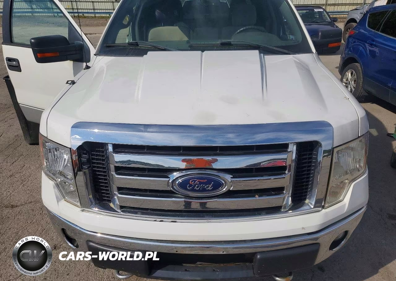 2010 Ford F150 Supercrew VIN:1FTFW1EV7AFC76726 - 11