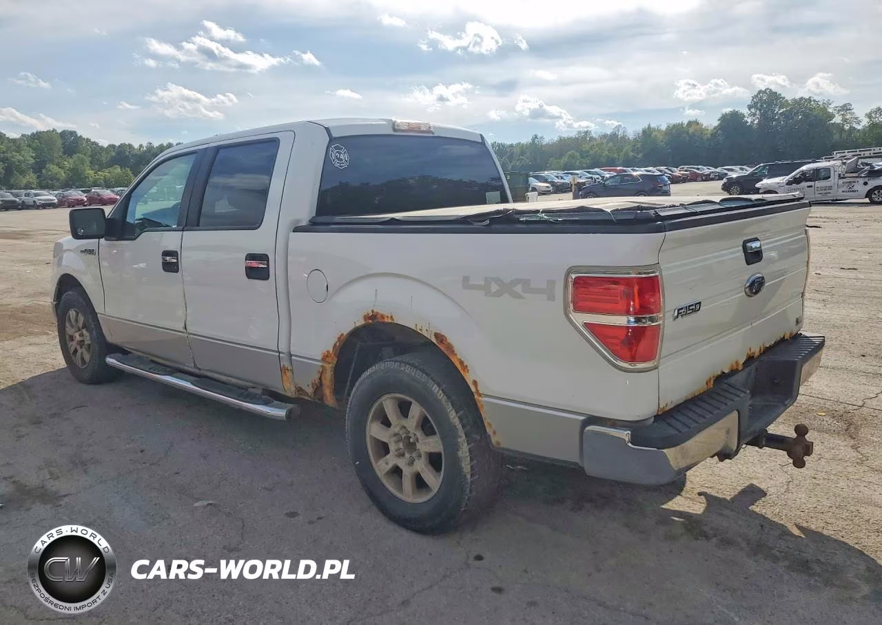 2010 Ford F150 Supercrew VIN:1FTFW1EV7AFC76726 - 2