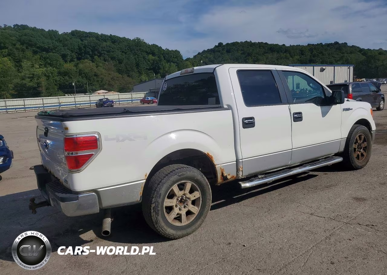 2010 Ford F150 Supercrew VIN:1FTFW1EV7AFC76726 - 3