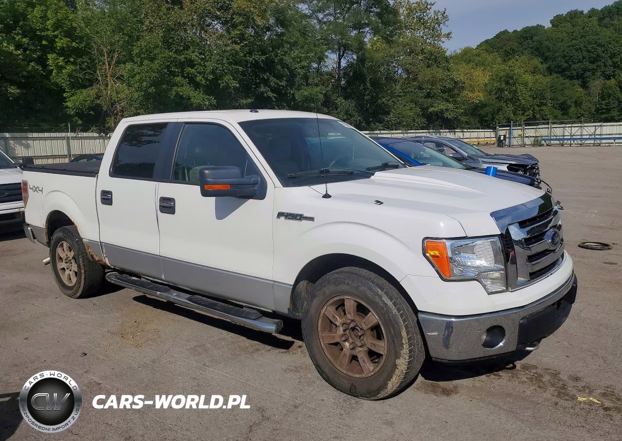 2010 Ford F150 Supercrew VIN:1FTFW1EV7AFC76726 - 4