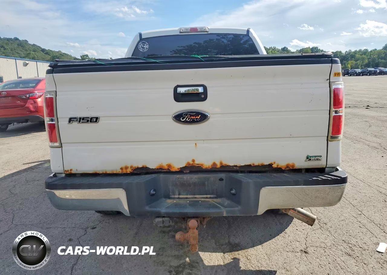 2010 Ford F150 Supercrew VIN:1FTFW1EV7AFC76726 - 6