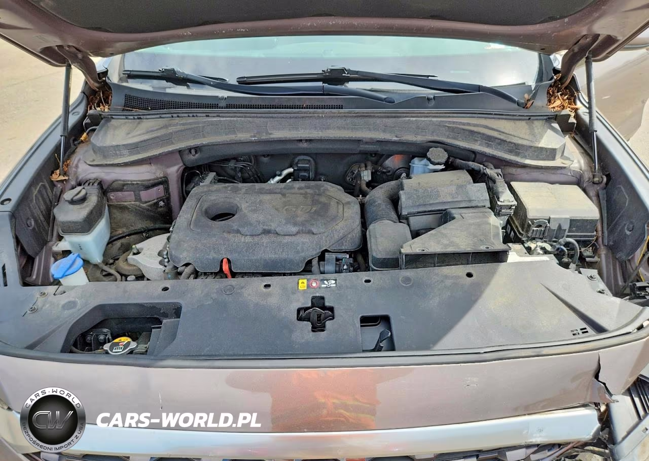 2019 Hyundai Santa Fe Se VIN:5NMS2CADXKH029207 - 12