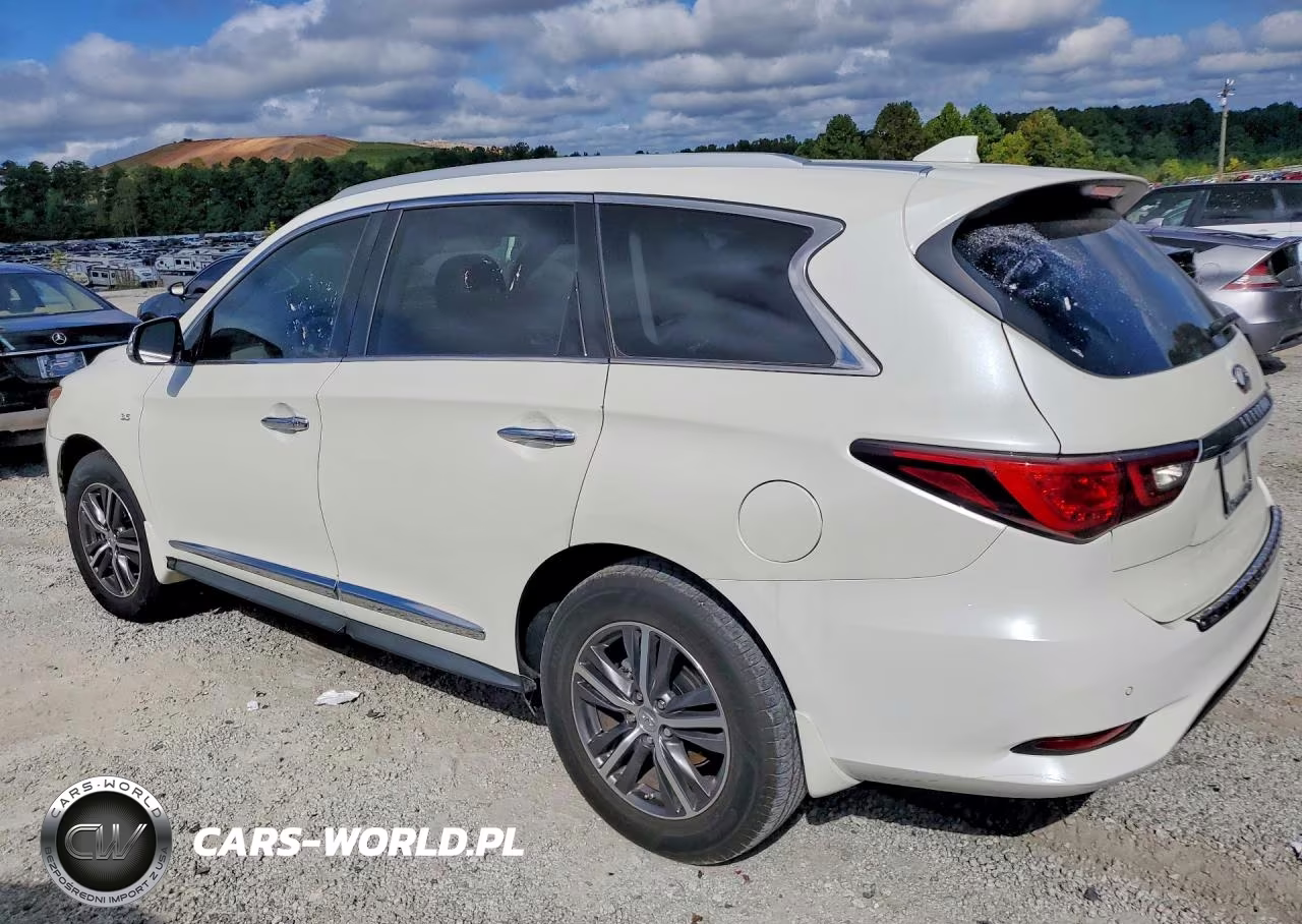 2019 Infiniti Qx60 Luxe VIN:5N1DL0MN3KC525971 - 2