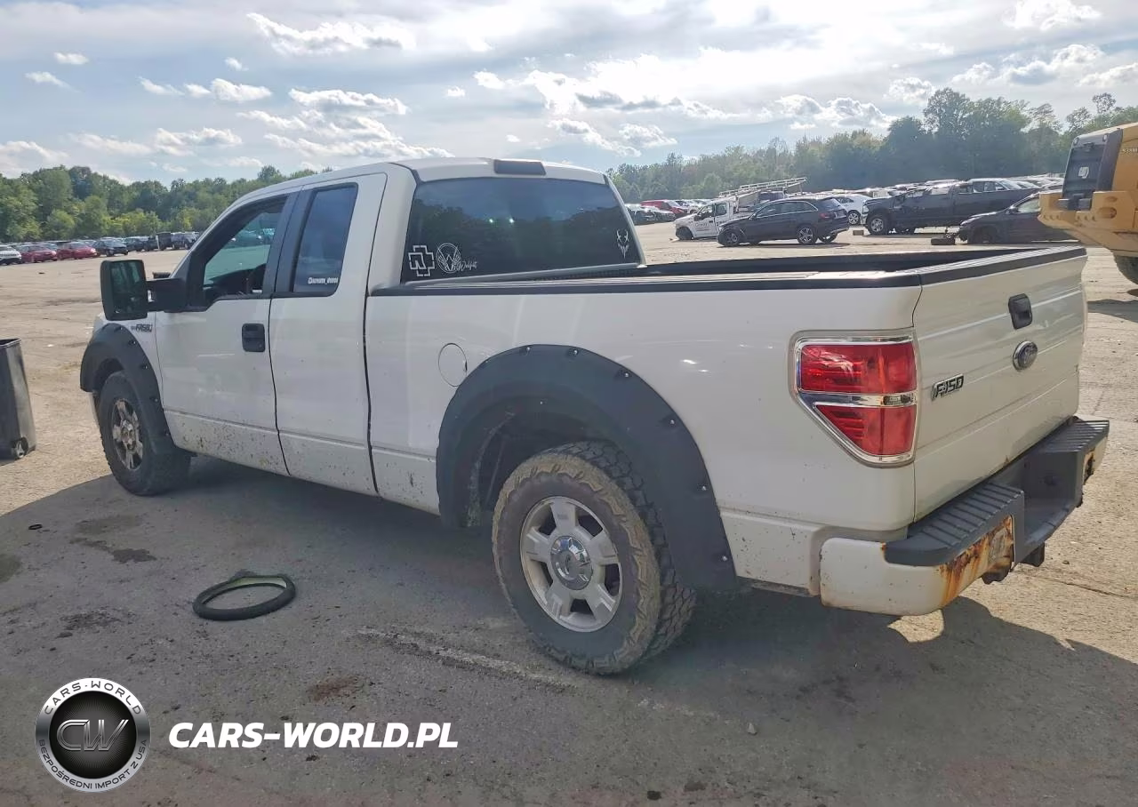 2010 Ford F150 Super Cab VIN:1FTEX1CW7AFA78667 - 2