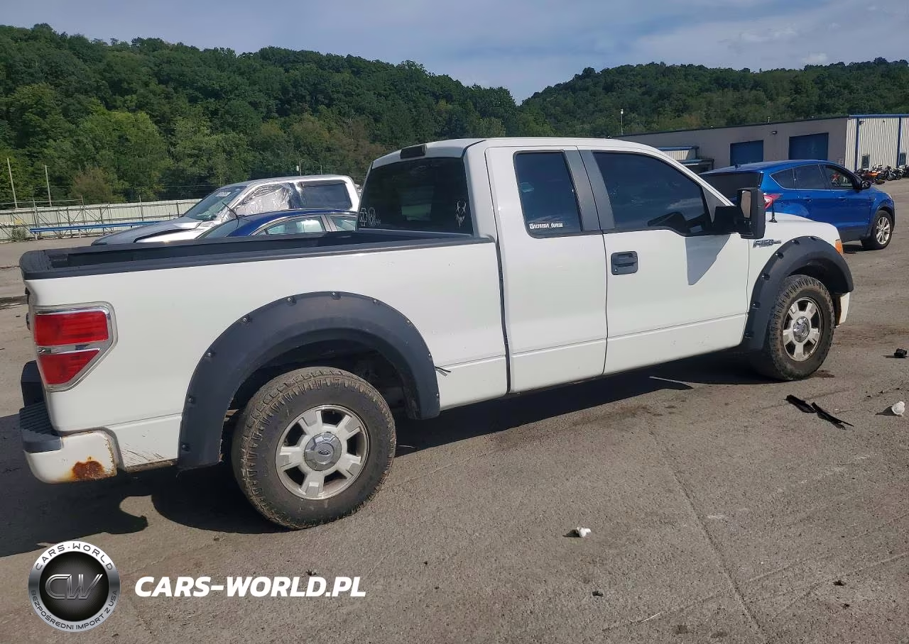 2010 Ford F150 Super Cab VIN:1FTEX1CW7AFA78667 - 3