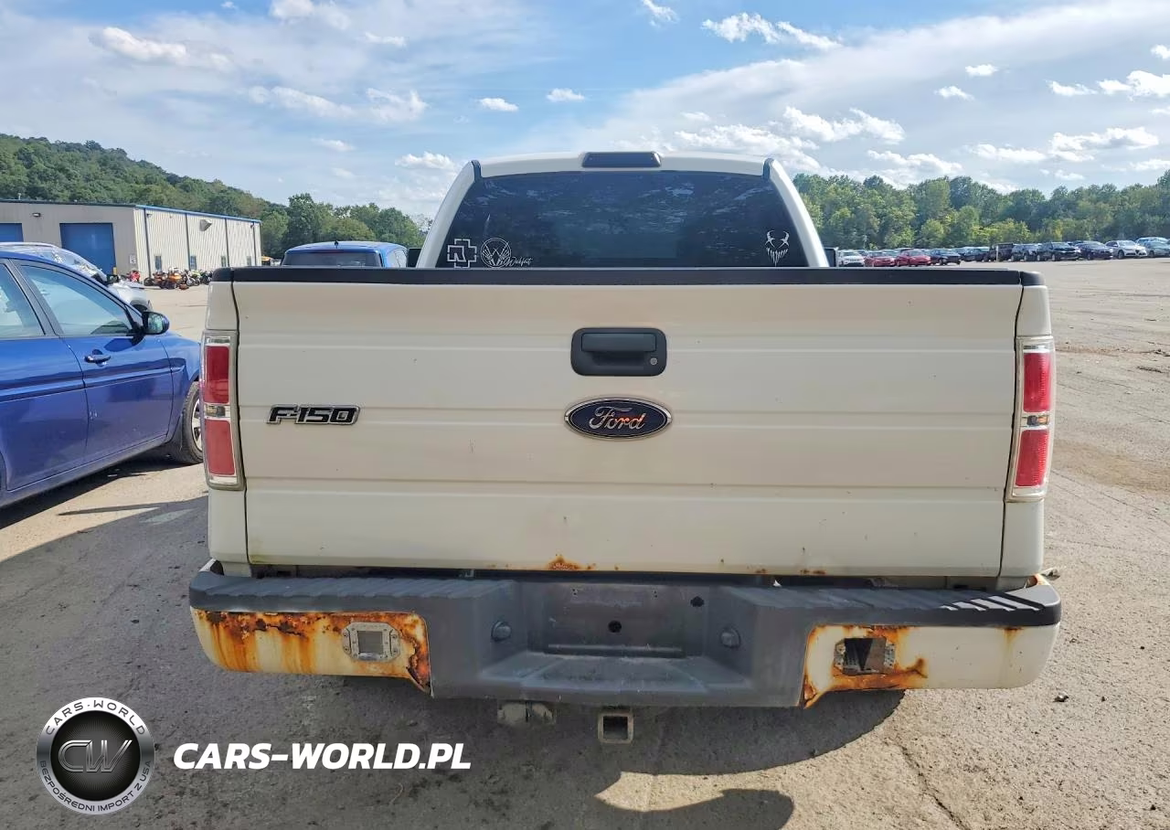 2010 Ford F150 Super Cab VIN:1FTEX1CW7AFA78667 - 6