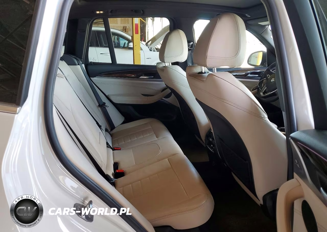 2019 BMW X3 Sdrive30I VIN:5UXTR7C59KLR53387 - 10