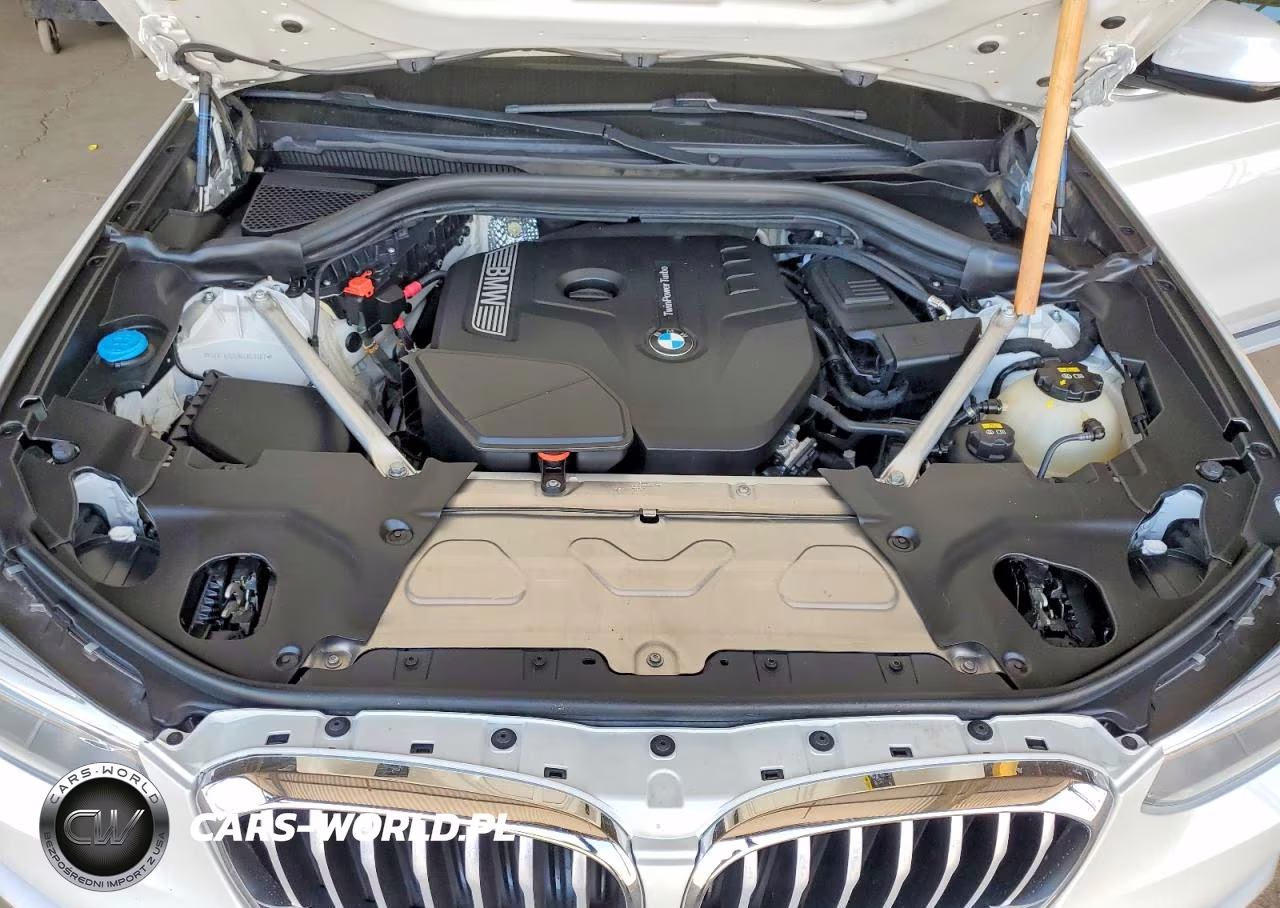 2019 BMW X3 Sdrive30I VIN:5UXTR7C59KLR53387 - 11