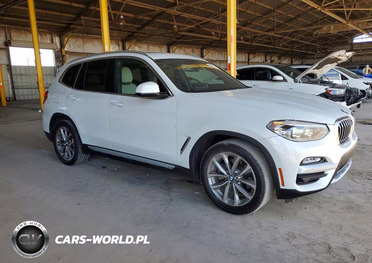 2019 BMW X3 Sdrive30I VIN:5UXTR7C59KLR53387 - 4