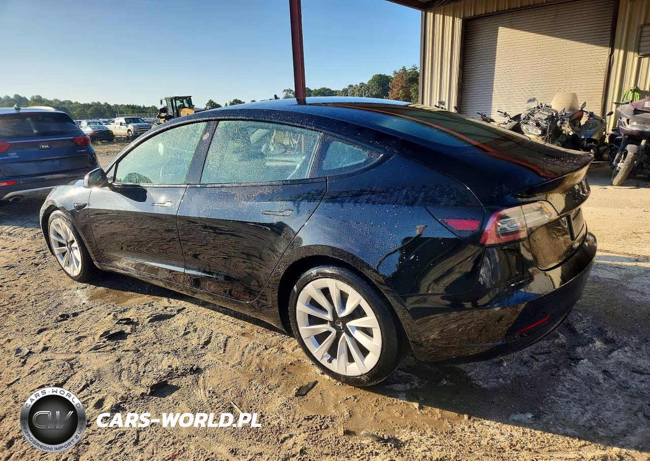 2022 Tesla Model 3 VIN:5YJ3E1EA3NF290006 - 2