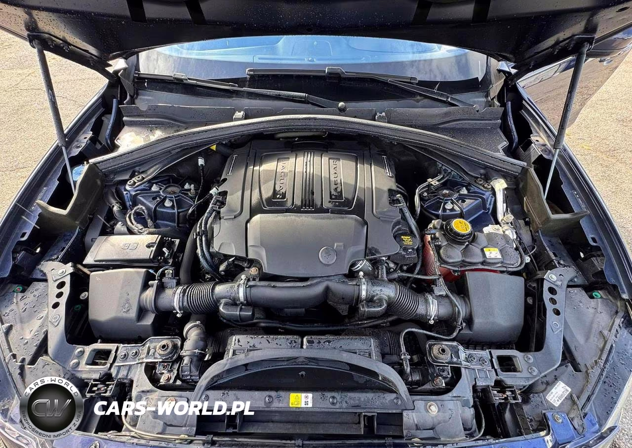 2017 Jaguar F-Pace Premium VIN:SADCJ2BV1HA884653 - 7