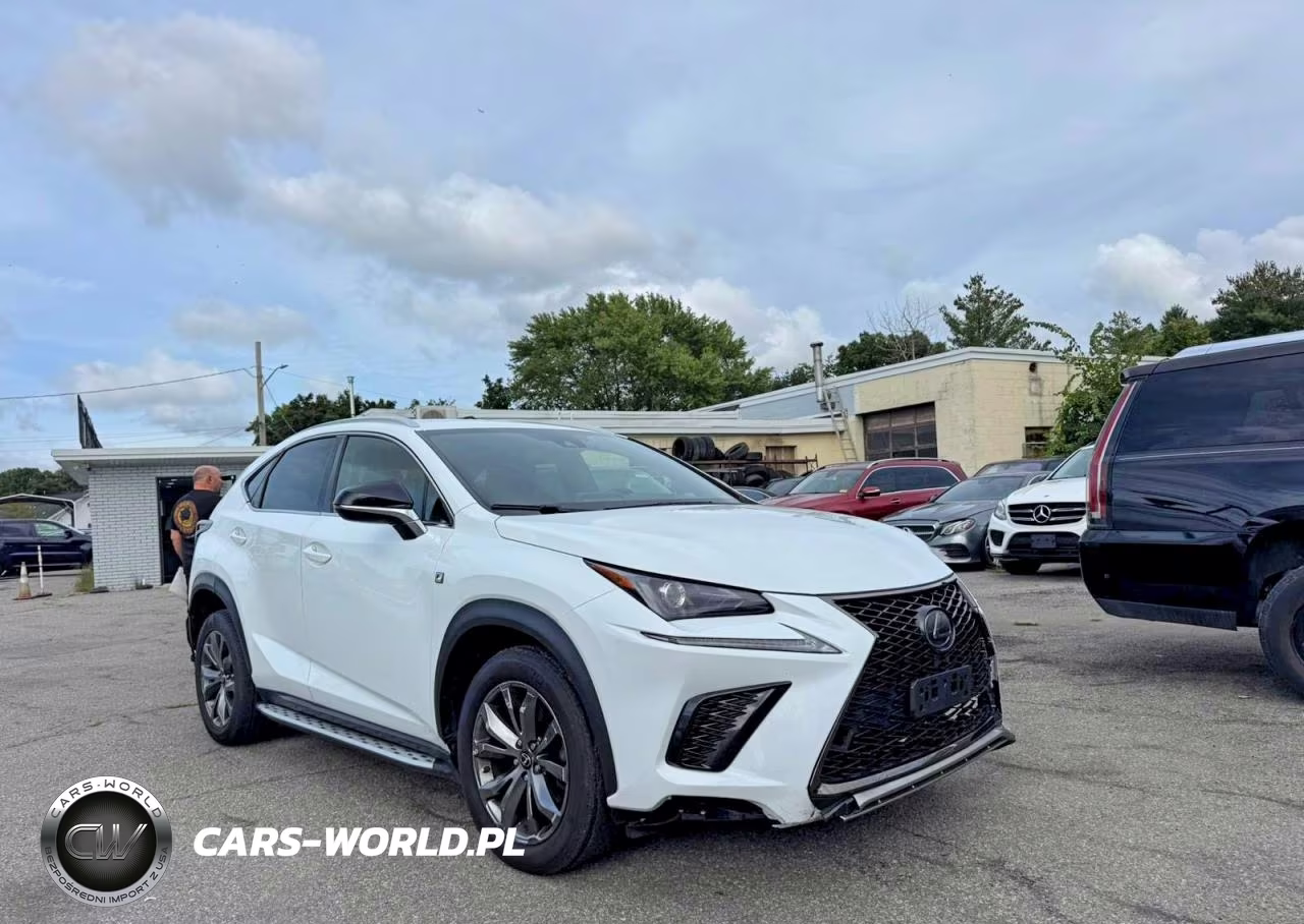 2020 Lexus Nx 300 F Sport