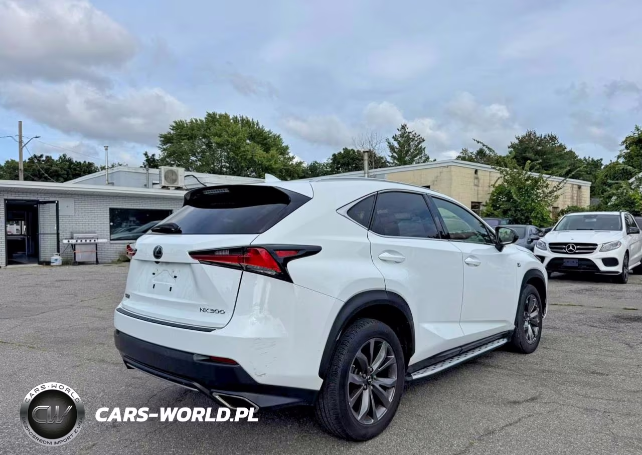 2020 Lexus Nx 300 F Sport VIN:JTJJARBZ1L5009439 - 4