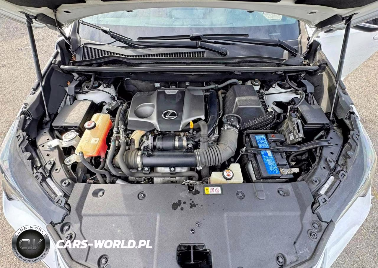 2020 Lexus Nx 300 F Sport VIN:JTJJARBZ1L5009439 - 7