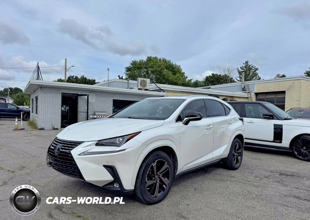 2020 Lexus Nx 300 VIN:JTJGARBZ5L2167925 - 2