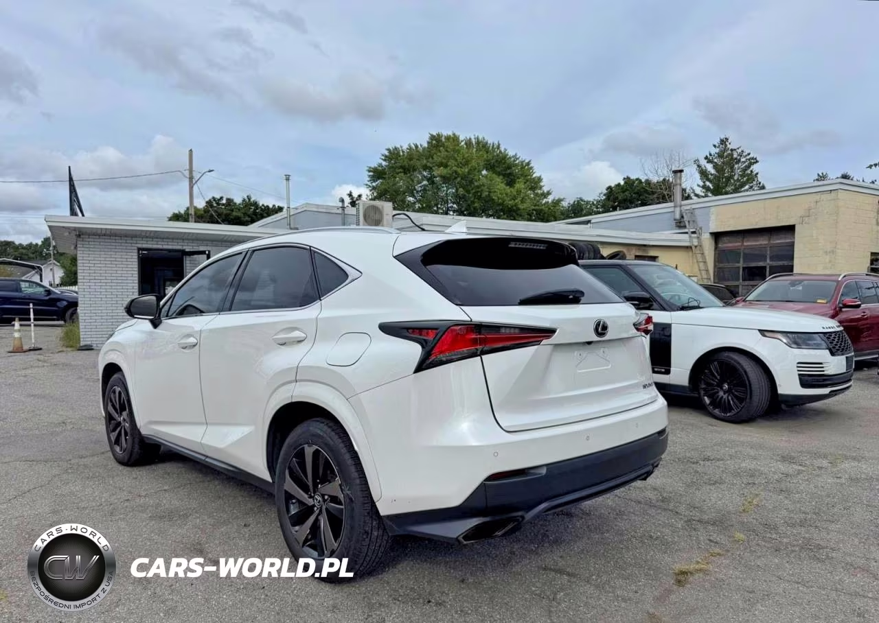 2020 Lexus Nx 300 VIN:JTJGARBZ5L2167925 - 3
