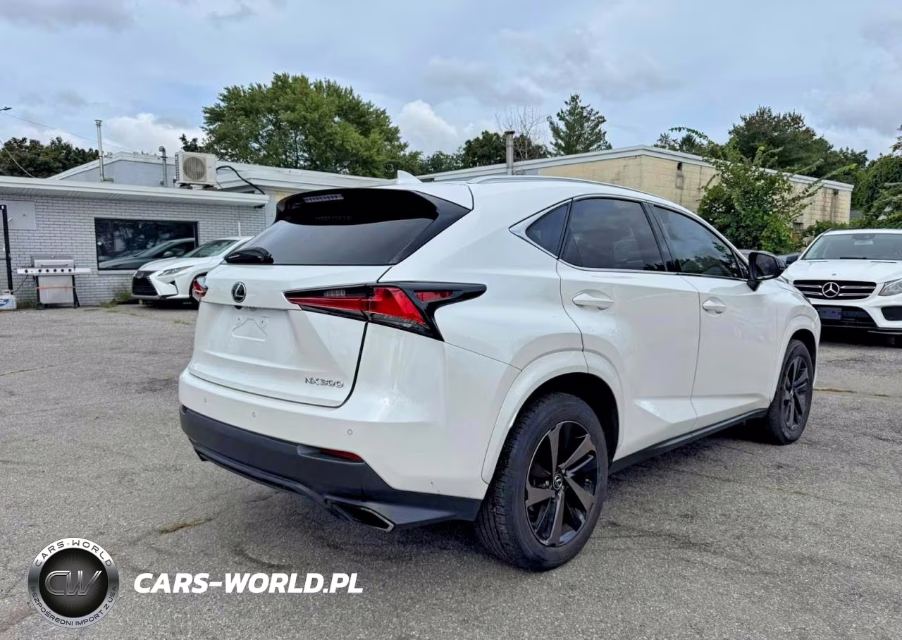 2020 Lexus Nx 300 VIN:JTJGARBZ5L2167925 - 4