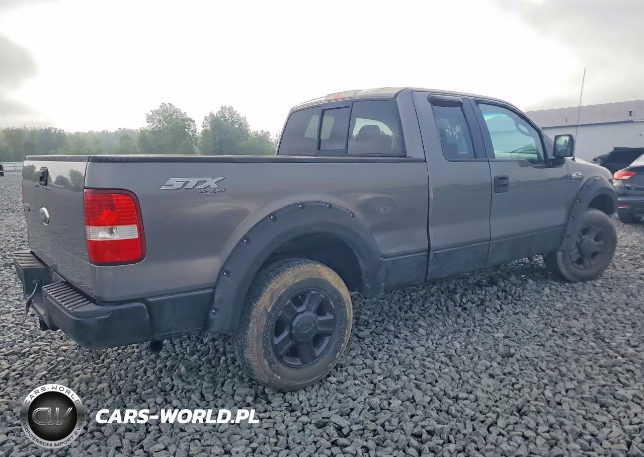 2006 Ford F150 VIN:1FTRX14W36NB00614 - 3