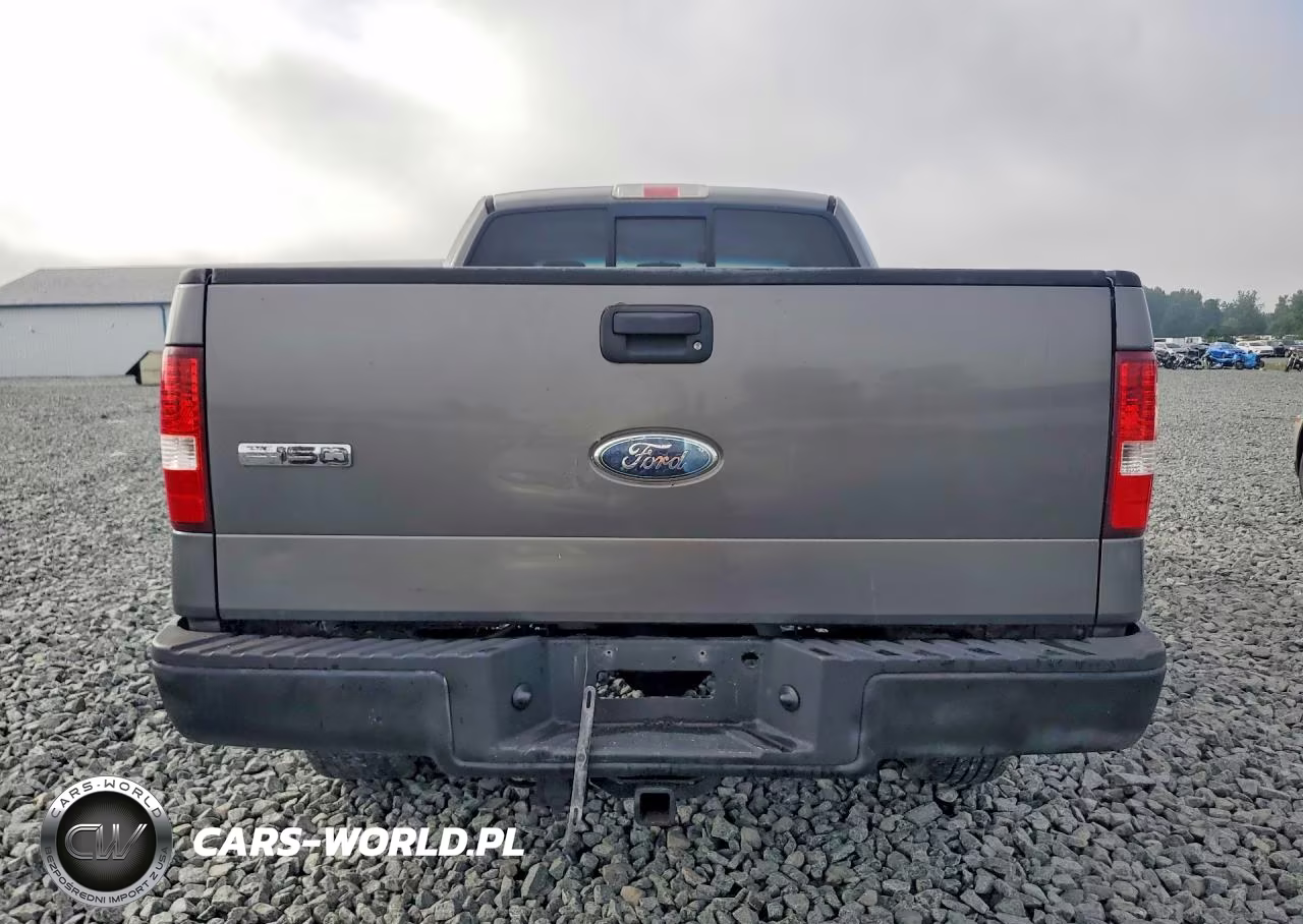 2006 Ford F150 VIN:1FTRX14W36NB00614 - 6