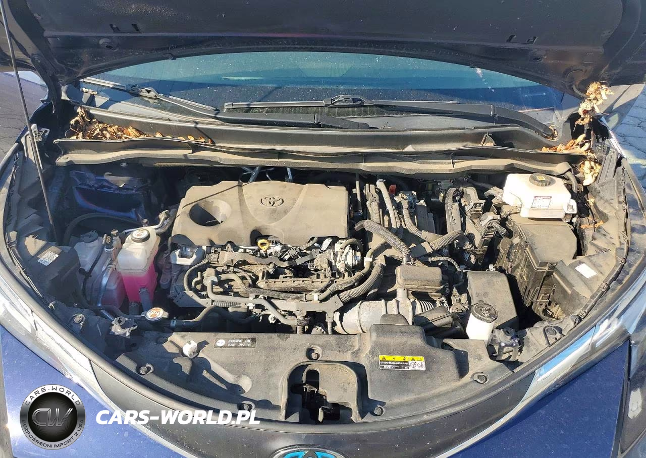2022 Toyota Sienna Xle VIN:5TDYRKECXNS086767 - 11