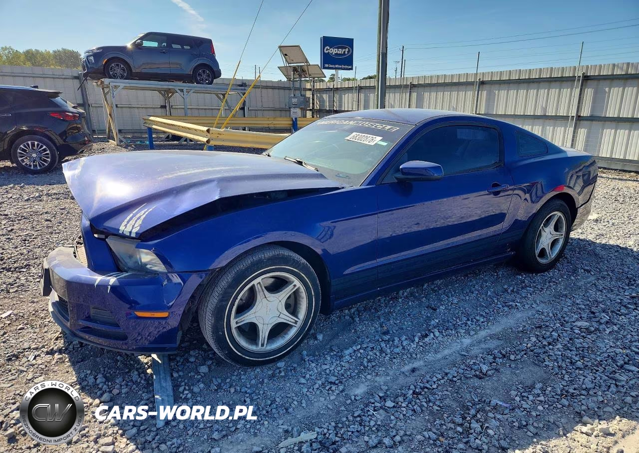 2013 Ford Mustang VIN:1ZVBP8AM7D5207334 - 1
