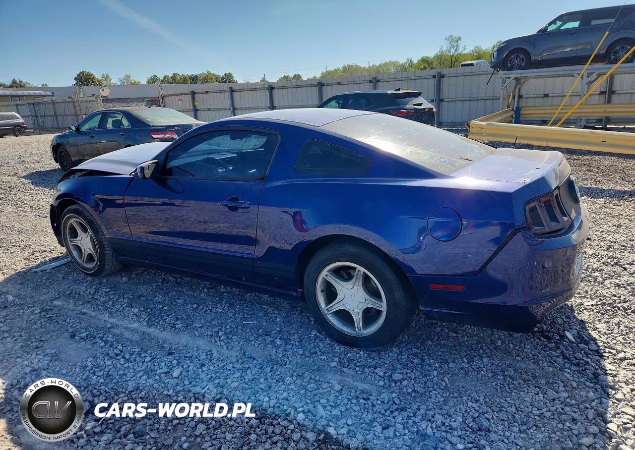 2013 Ford Mustang VIN:1ZVBP8AM7D5207334 - 2