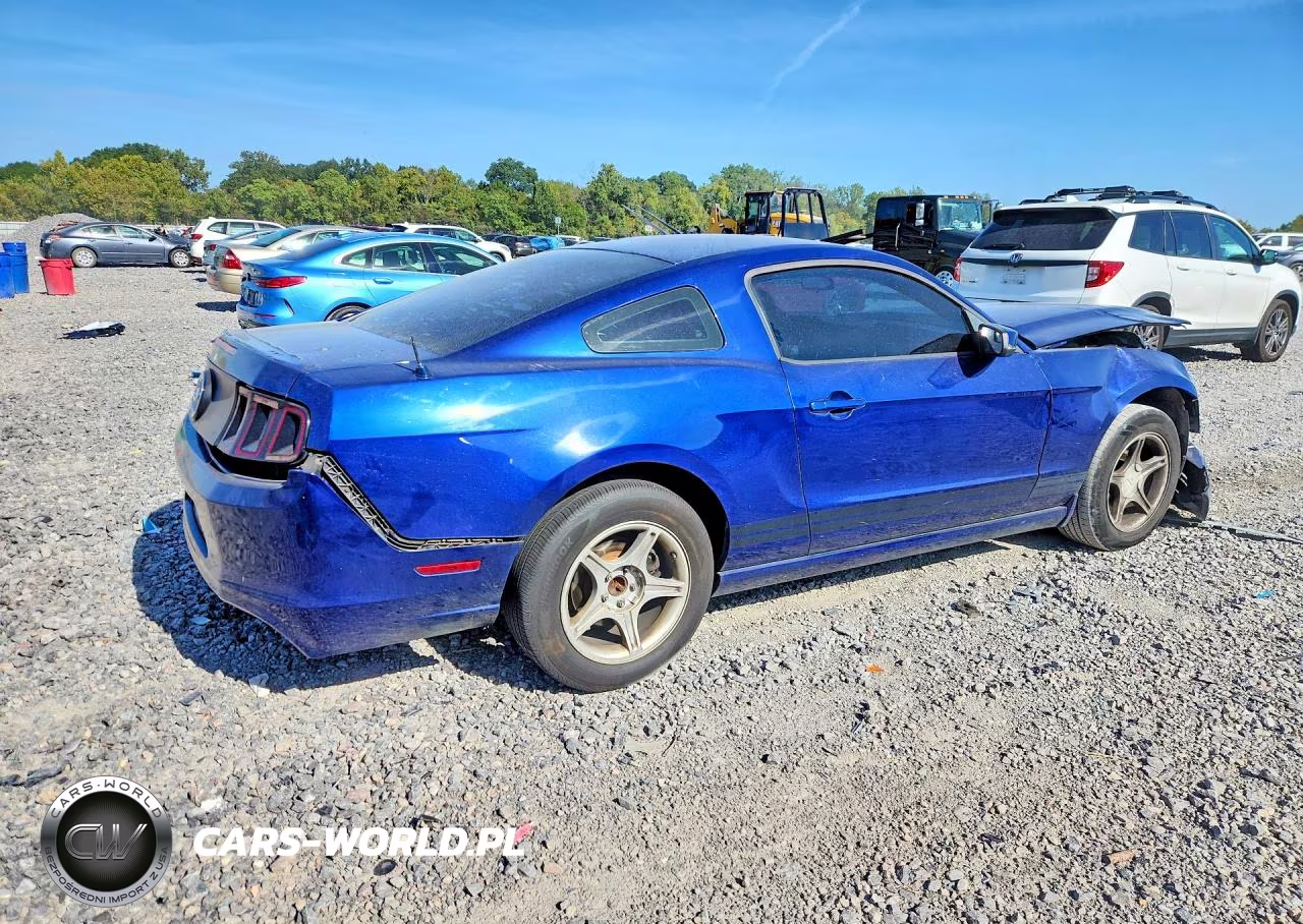 2013 Ford Mustang VIN:1ZVBP8AM7D5207334 - 3