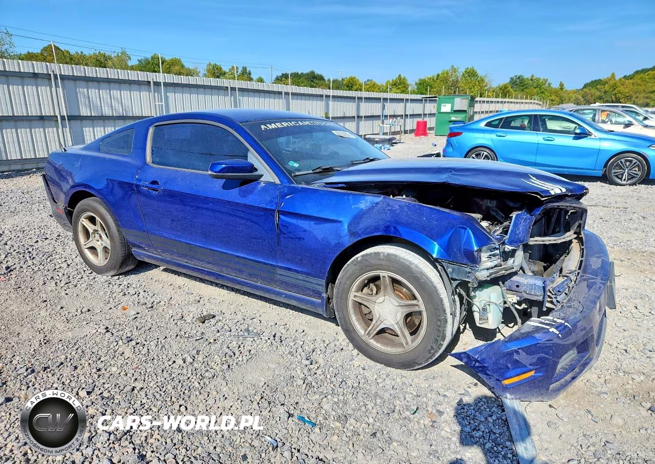 2013 Ford Mustang VIN:1ZVBP8AM7D5207334 - 4