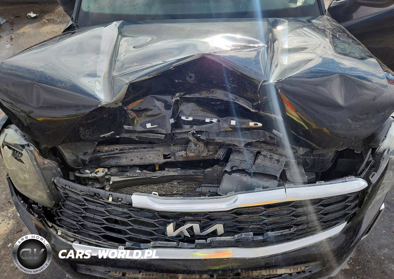 2022 Kia Telluride S VIN:5XYP6DHC3NG228904 - 12